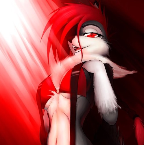 [Jailed Acc For:@IcessWolfxlove] Hai! I'm Icess!! ••A GAMER•• 20 years old [RP 18] Taken by: @xlegitxxwolfx Daughter: @RP_Ivywolf ._. FRANDDDDSSSS!?!?!?