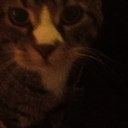 Maggie cherry - @maggiemoocherry - Twitter