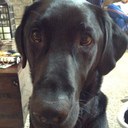 abbie roy - @abbielove18 - Twitter