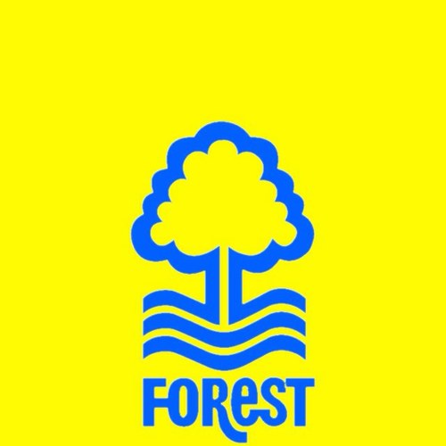Proud husband and dad of two one in my arms one in my heart. Forest fan and world class moaner. Trustee for baby loss charity Forever Stars