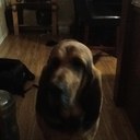 Zane short - @shortsfarm - Twitter