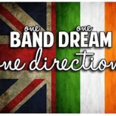 See..I have never met perfect guys from Ireland & Britain before.But now i did...NIALL HARRY ZAYN LIAM LOUIS...u agree? THEN FOLLOW ME! LoveOneDirection!