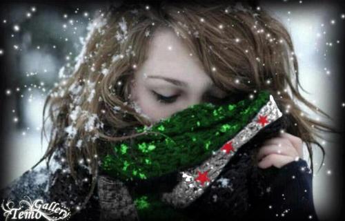 1777_shamea's profile picture. 