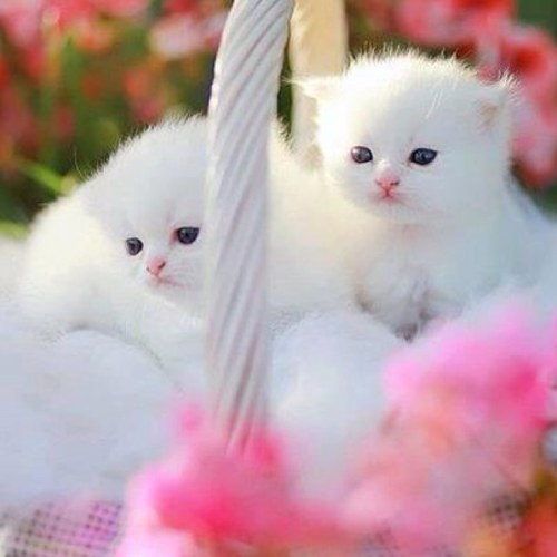 tinasuny's profile picture. 