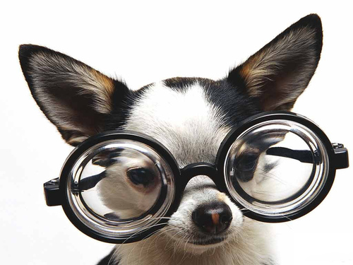 Ciência, Livros, Cinema, Quadrinhos e muito mais para mantê-lo bem informado! Curta nossa página no Facebook: http://t.co/iccF5Xve