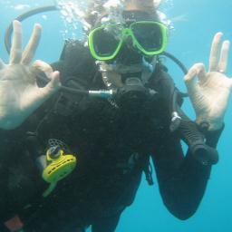 LivermoreSharon's profile picture. You, me and the sea...
Marine Conservation Director @ International Fund for Animal Welfare (IFAW)