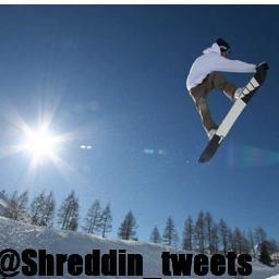 SHRED THE GNAR