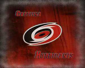 carolina hurricanes fan. baseball fan in the summer.