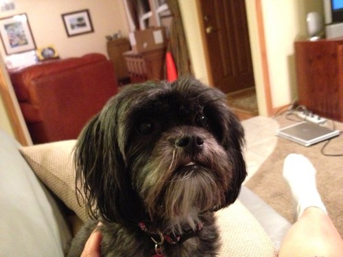 dawnnno's profile picture. 