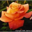 Fran Greene - @wgapa - Twitter