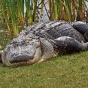 Donnie Stephens - @drstephens13 - Twitter