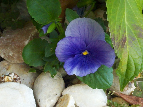 Originalsamshu1's profile picture. Love to laugh, just dont wake me if i am napping. That will never ever be funny.   Never funny!