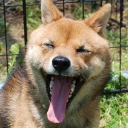 11197512333's profile picture. 趣味の釣り、家庭菜園でプチ自給自足生活をしています。
よろしくお願いします。