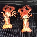 Ed Layne - @laynegar - Twitter