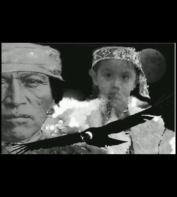 alazan1981's profile picture. 