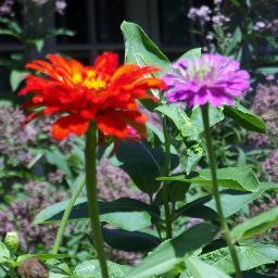 Lawn service, Irrigation, Landscape, Snowplowing