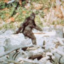 Andrew Giddens - @AndrewGidds - Twitter