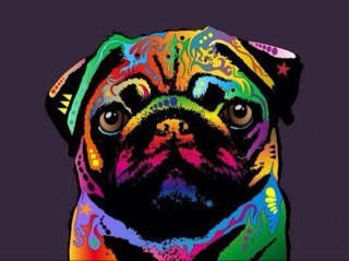 dogsauntie's profile picture. Bed and Biscuit Inn catering to Pugs and other friendly Pups. I'm also a passionate patriot, anti PC, Pro JC