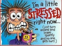 Myfamilypushes's profile picture. Losing my mind