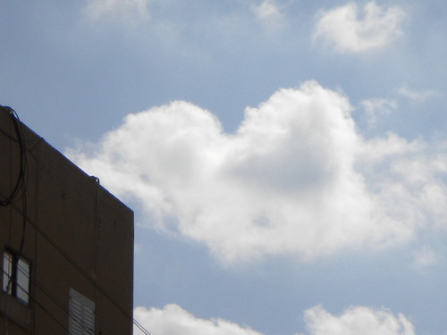 Levavot's profile picture. Spreading love with a blog about hearts (levavot) found daily throughout Israel - thereby crossing all boundaries in the conflicted region.