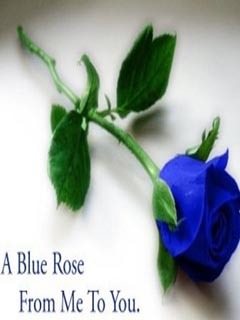 ashishsjp's profile picture. 