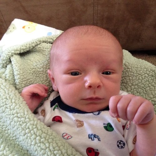 TeamGowlovech's profile picture. 