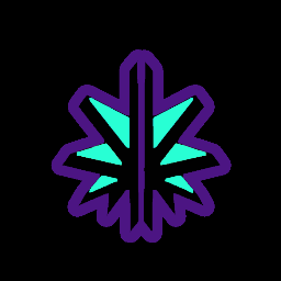 Electronic Chronic Profile