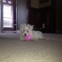 Ginger Keller - @ginger_keller - Twitter