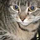 Sonny Kelley - @Meowmixxer123 - Twitter