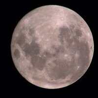 R (@bowks1roger) 's Twitter Profile Photo