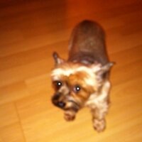 Benji Davis (@cplusd) 's Twitter Profile