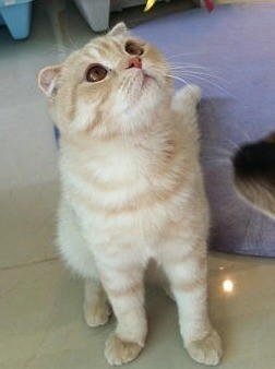 뜹니다
