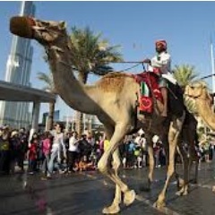 General information about living in the city we call Dubai. Searching for the best that this city has to offer and telling everyone about it.