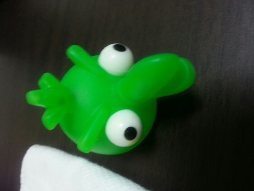 asu1555's profile picture. 