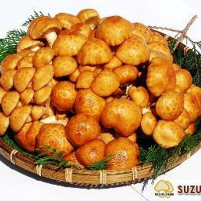 鈴木農園 まどか菜園 こんばんは ジャンボなめこの天ぷら などを 提供していただいている 居酒屋しのやさんが 須賀川市に3店舗目をだされました ジャンボなめこ 以外にも まどか菜園の郡山ブランド野菜の めんげ芋 や T Co