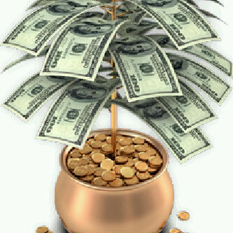 essu01's profile picture. 