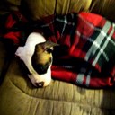 cj morris - @3575M - Twitter