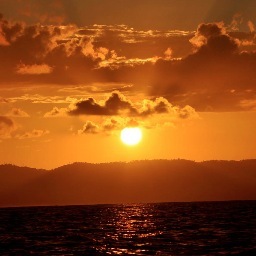 1LETSGO's profile picture. Haiti Tambou Soleil is dedicated to supporting Haitian culture through the introduction of new musical talents who need promotional assistance.