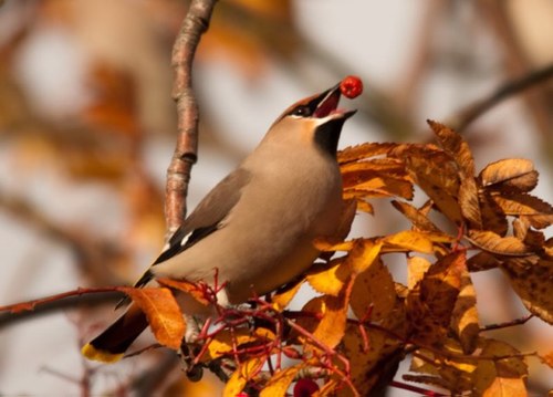 SmileyKaren23's profile picture. living life to the full!