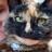 MrsHEJ's profile image