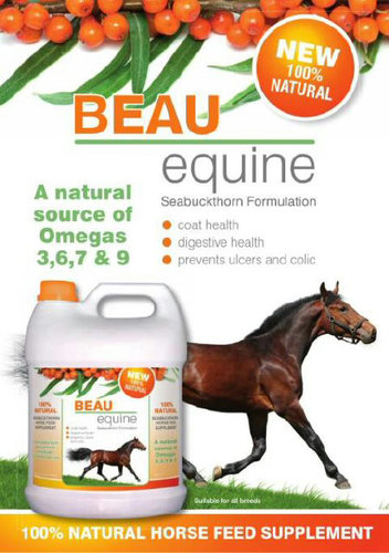 BeauEquine SeaBuck Juice for Coat/colic and BleedBlock supplement to assist with EIPH in racehorses ...