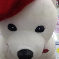 カメラのキタムラMONA新浦安店 (@kitamura_shin_u) Twitter profile photo