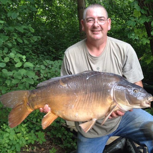 LindleyGlenn's profile picture. 