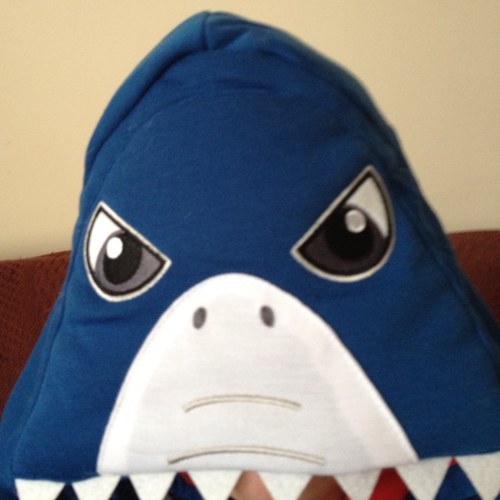 sallyally84's profile picture. 