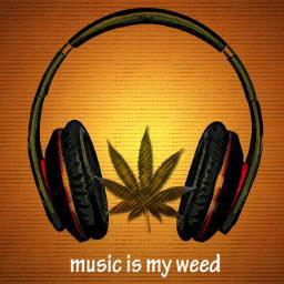 A Social Media Platform for
HERB n BASS COMING SOON!