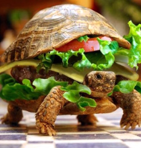 Burger reviews, news, merchandise, competitions and commentary
