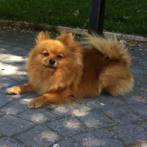 28Freddyb's profile picture. 