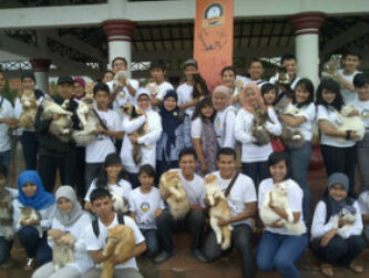 BCL (Banten Cat Lover) tempat kumpulnya pecinta kucing.. Info: pin BB 30C56259/3084EF42/2249F367