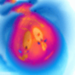 SQUINT finds you tastee! Protoplasmic sac invents hash tag #UFMEFU - You Follow Me Follow You - Twitterverse expands