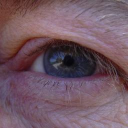 Faitimages's profile picture. Images dessinées